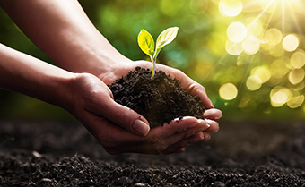 Environmental Conservation